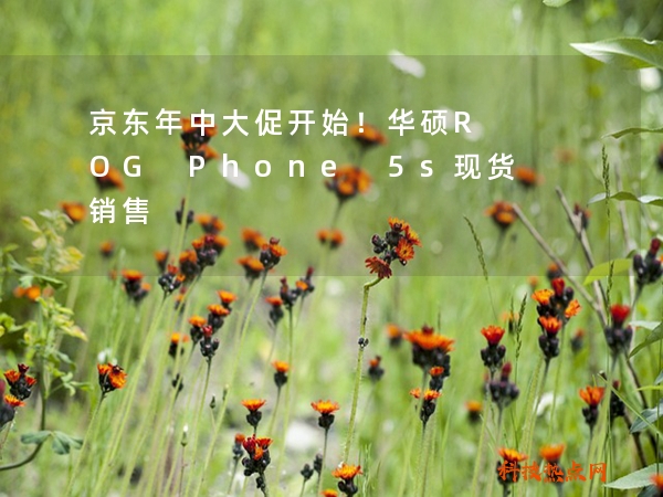 京东年中大促开始！华硕ROG Phone 5s现货销售