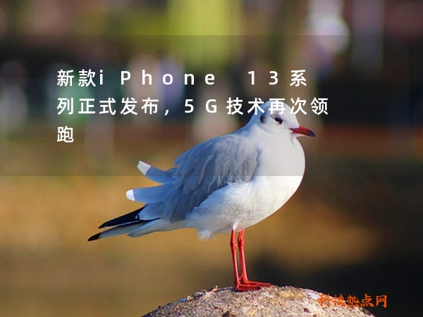 新款iPhone 13系列正式发布，5G技术再次领跑